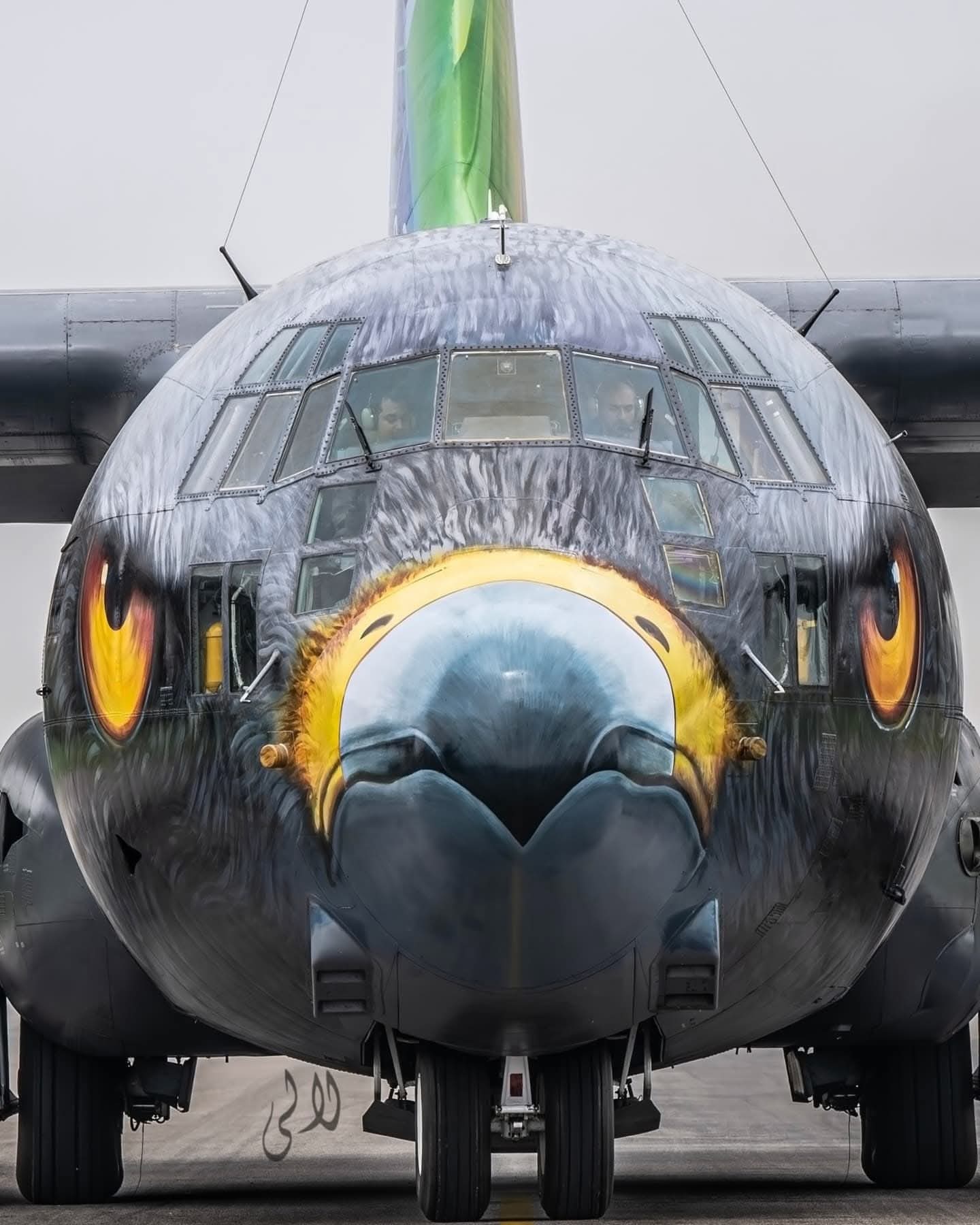 Wows the World, Wins ‘Concours d’Elegance’ Trophy at RIAT 2025